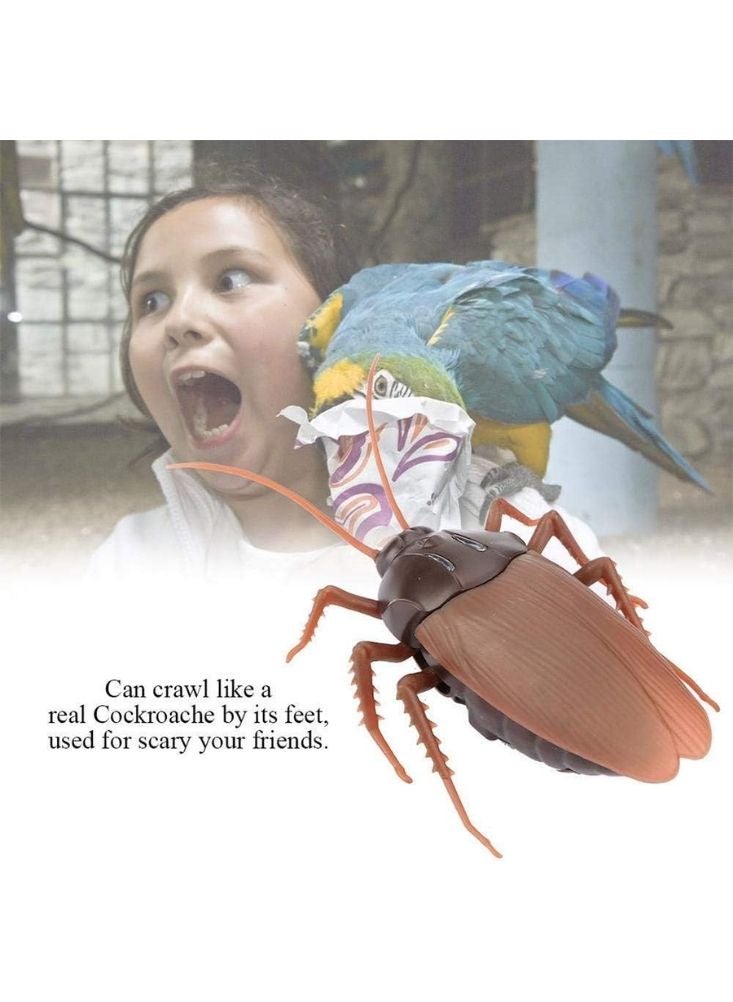 بريميم لعبة صرصور عملاق تعمل بجهاز تحكم عن بعد بالأشعة تحت الحمراء - حشرة زاحفة واقعية للمقالب مع جهاز تحكم يدوي - Image 5